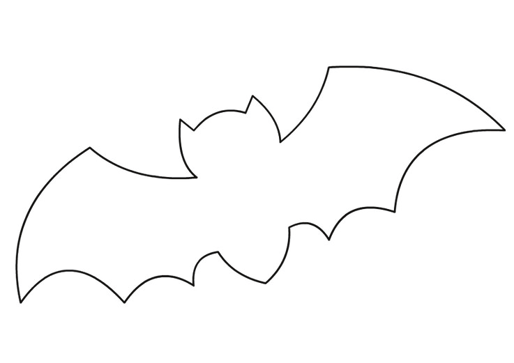 Outline of a Bat